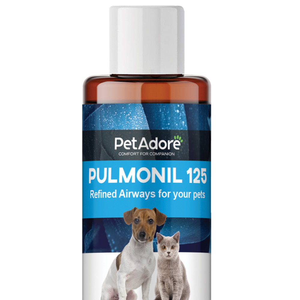 Pulmonil 125 refines airways for your pets